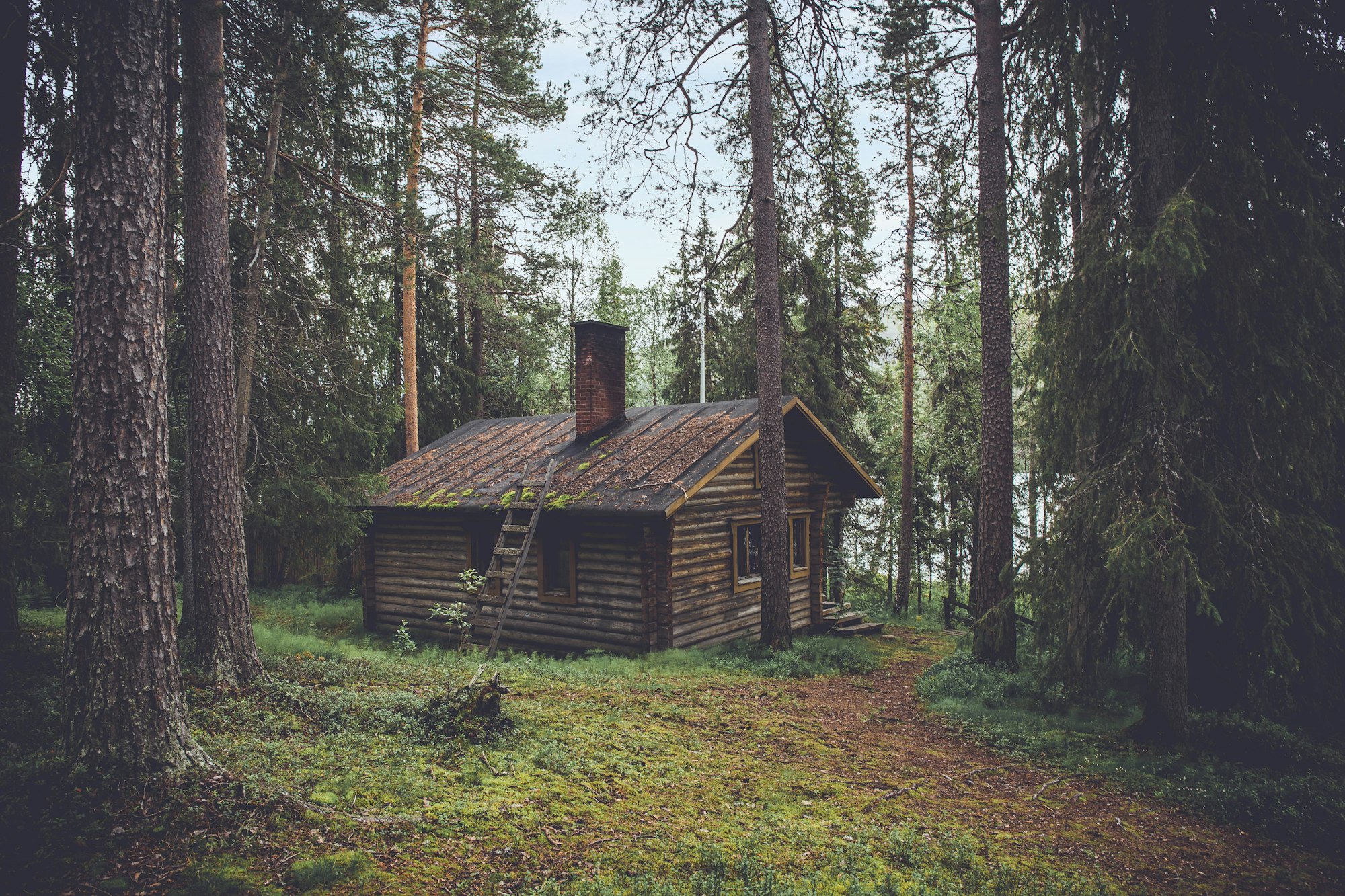A warm, lamplit cabin interior in the woods